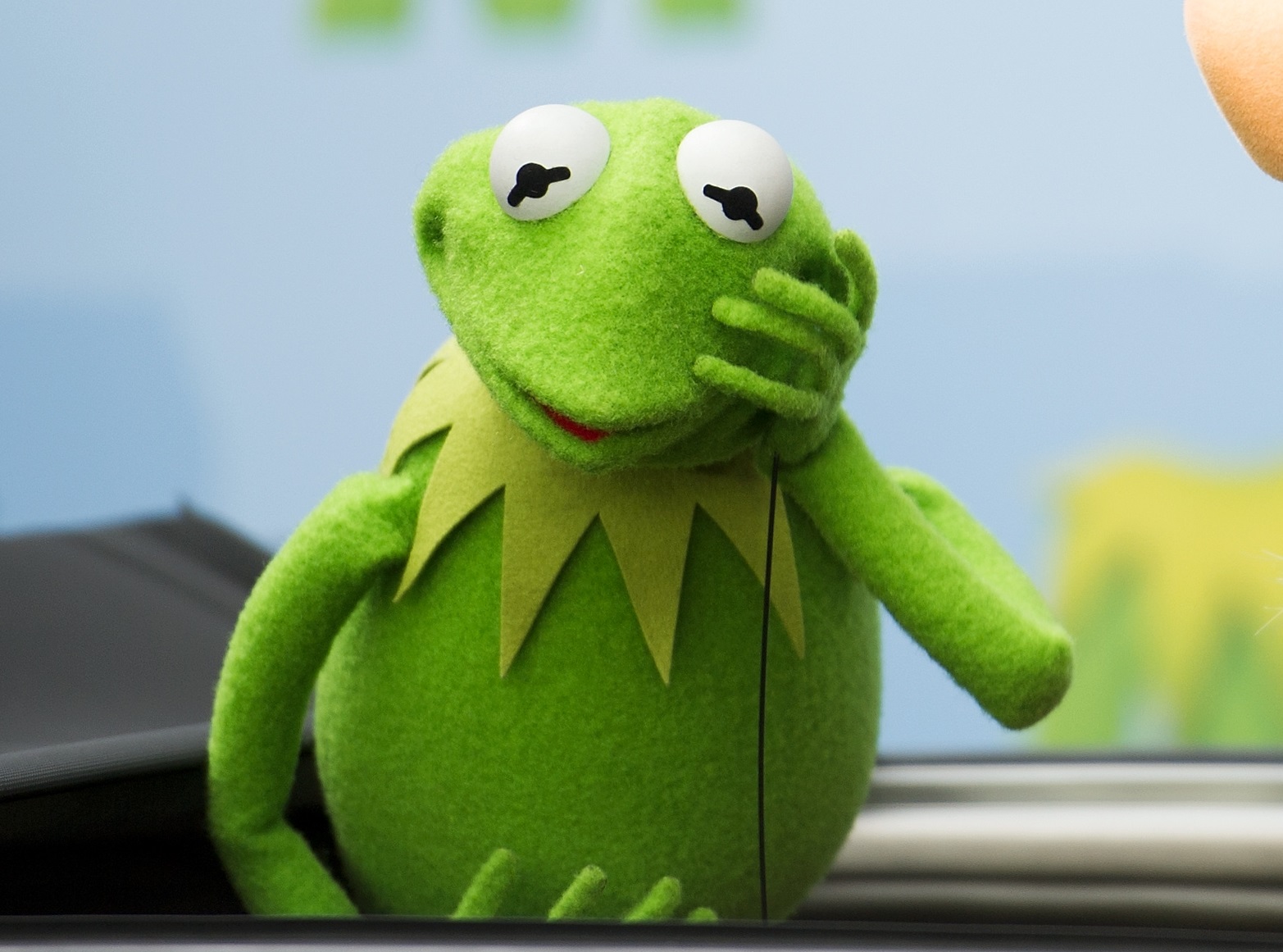 Frogs being farmed for food have no welfare rights under European law, the European Commission has now claimed. (Photo by Target Presse Agentur Gmbh/Getty Images)