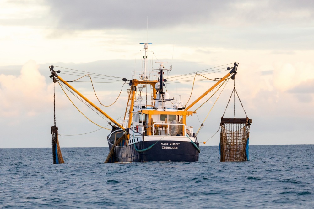 There are no engines currently in existence that can avail of the EU's new green energy scheme for fishing boats, an MEP has claimed. (EPA/VICKIE FLORES)