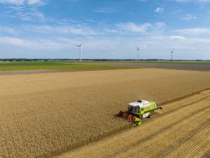 The European Commission has confirmed it is funding projects researching how farmers could kill weeds using laser beams. (Photo by Sjoerd van der Wal/Getty Images)
