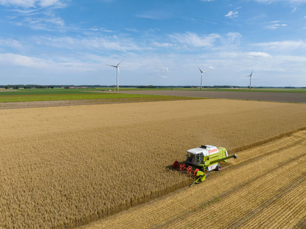 The European Commission has confirmed it is funding projects researching how farmers could kill weeds using laser beams. (Photo by Sjoerd van der Wal/Getty Images)