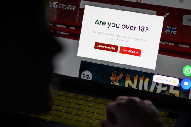 Europe's censorious Digital Services Act (DSA) will help protect children from pornography, the EU's internal market commissioner Thierry Breton has claimed. (Photo by Leon Neal/Getty Images)