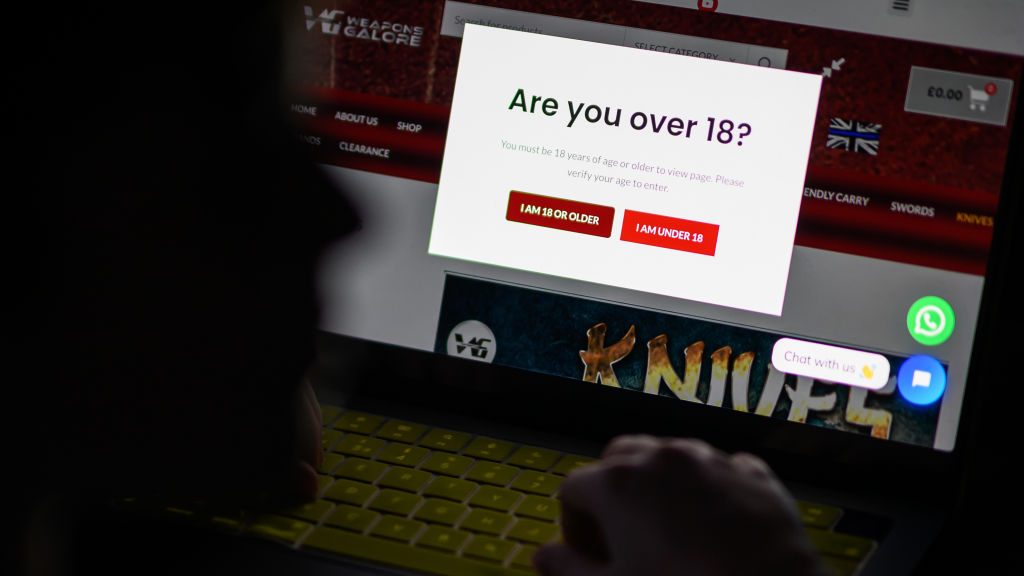 Europe's censorious Digital Services Act (DSA) will help protect children from pornography, the EU's internal market commissioner Thierry Breton has claimed. (Photo by Leon Neal/Getty Images)