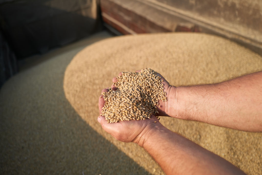 Ukraine has threatened to sue the European Union over a current impasse to do with the country's grain imports. (Photo by Pierre Crom/Getty Images)