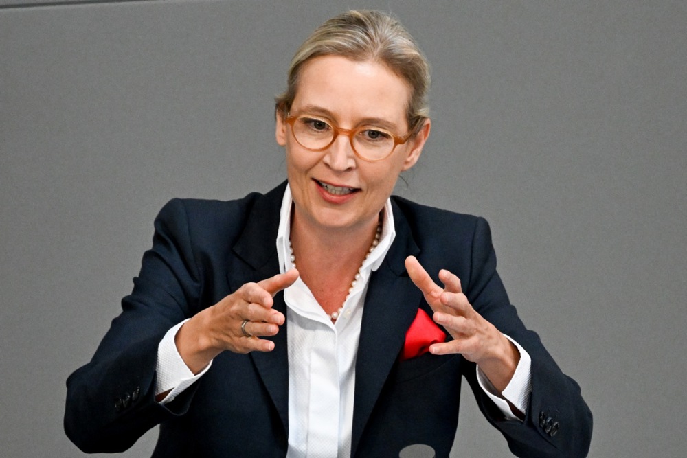 A leader of the populist Alternative für Deutschland is reportedly in hiding after threats were reportedly made against her family, multiple German news companies are now reporting. (EPA-EFE/FILIP SINGER)