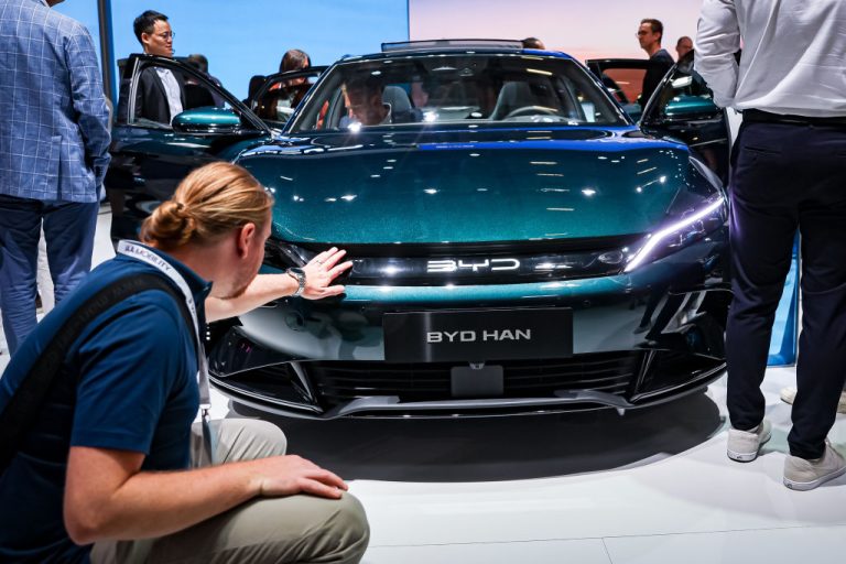 The European Union should celebrate the influx of "free" Chinese electric vehicles into the bloc, a senior German economist has claimed. (Photo by Leonhard Simon/Getty Images)