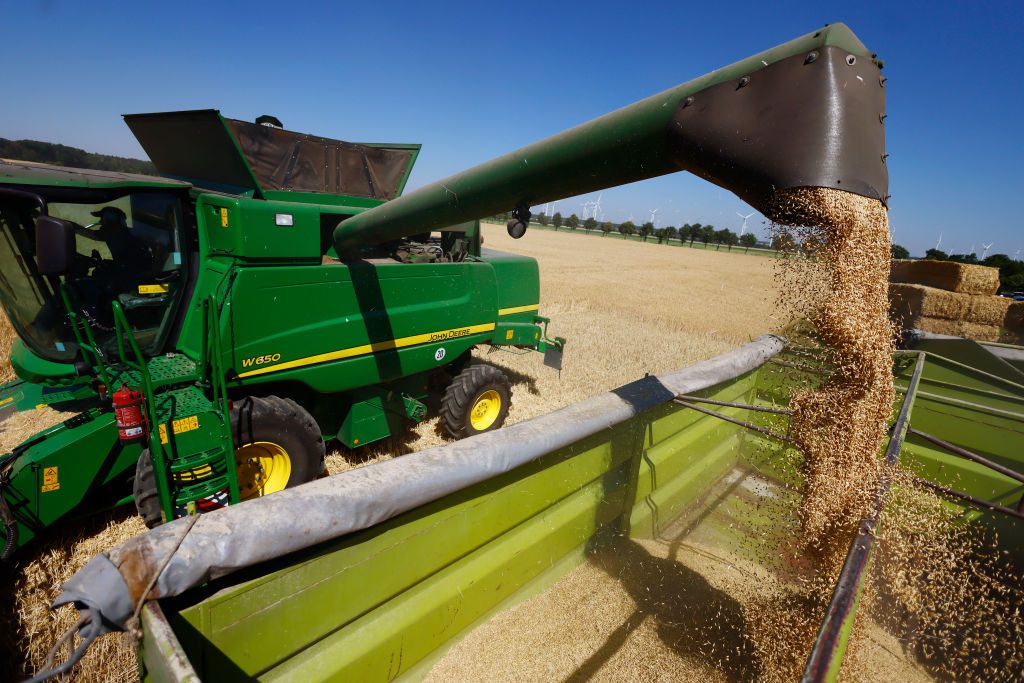 The European Union is now more reliant on Russia in terms of food security than it was before the start of the war in Ukraine, the head of a major fertiliser firm has said. (Photo by Hannibal Hanschke/Getty Images)