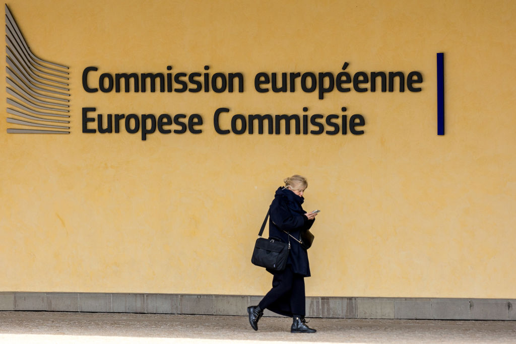 The European Commission needs to stop worrying about the number of "Muslim lesbians" it has working for it, a senior MEP has said. (Photo by Omar Havana/Getty Images)