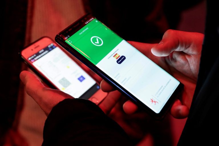 MEPs have given the green light to the proposed implementation of an EU-wide digital ID system. (EPA-EFE/ANA ESCOBAR)