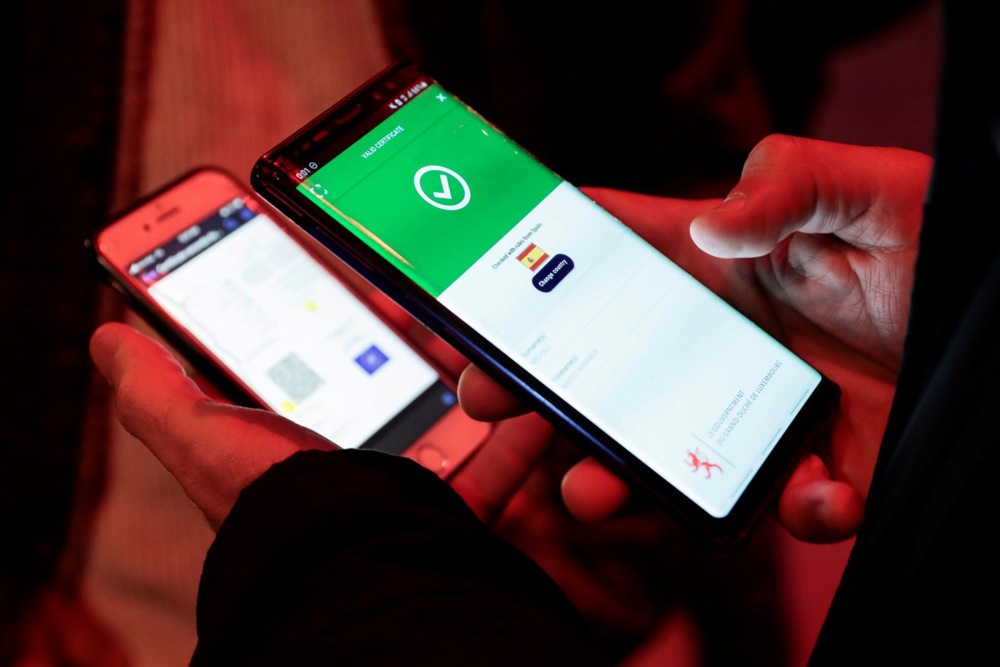 MEPs have given the green light to the proposed implementation of an EU-wide digital ID system. (EPA-EFE/ANA ESCOBAR)