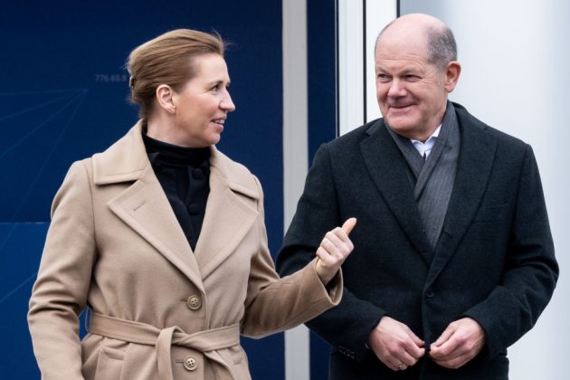With a year of elections ahead, including the European Parliament vote in June, the Danish model of immigration policy is spreading to its European neighbours. (Photo by David Hecker/Getty Images)