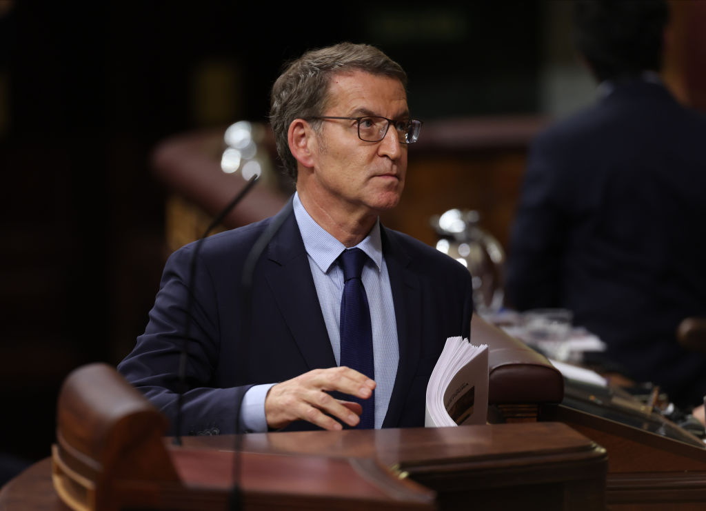 Spain's PP leader Alberto Núñez Feijó claimed Prime Minister Pedro Sánchez wants "regime change". (Isabel Infantes/Getty Images)