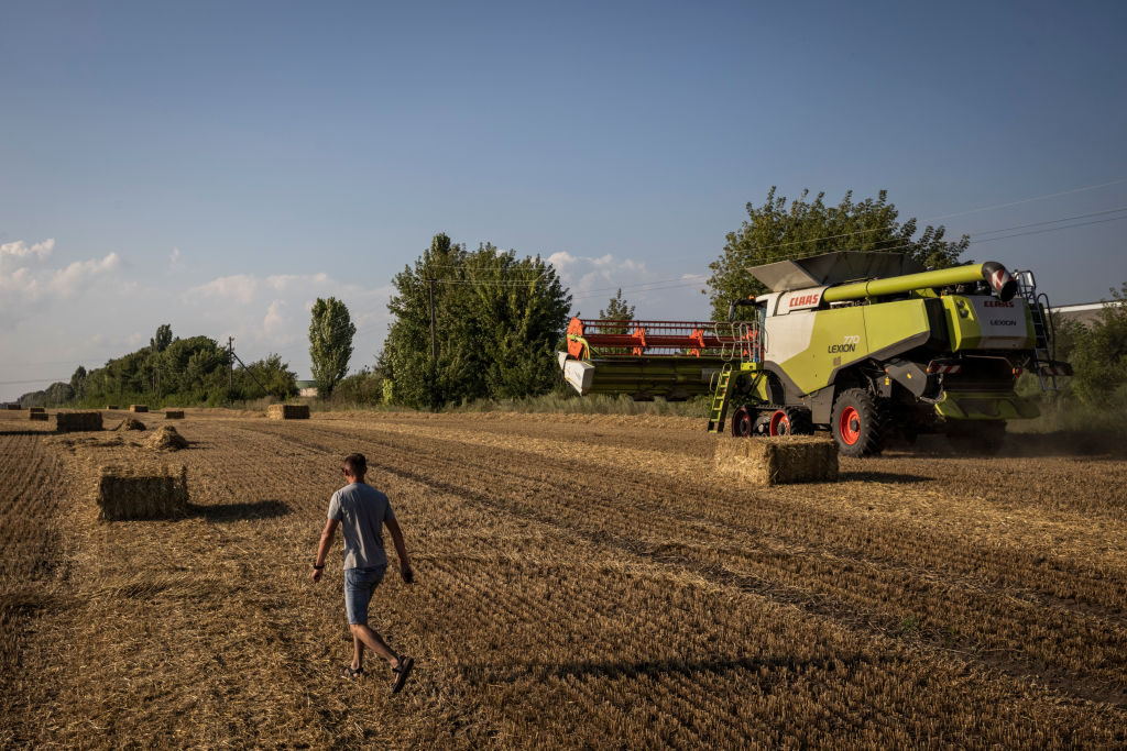 Contrary to the wishes of European farmers the European Parliament persist in advancing for a  renewal of trade deal with Ukraine. (Photo by Ed Ram/Getty Images)