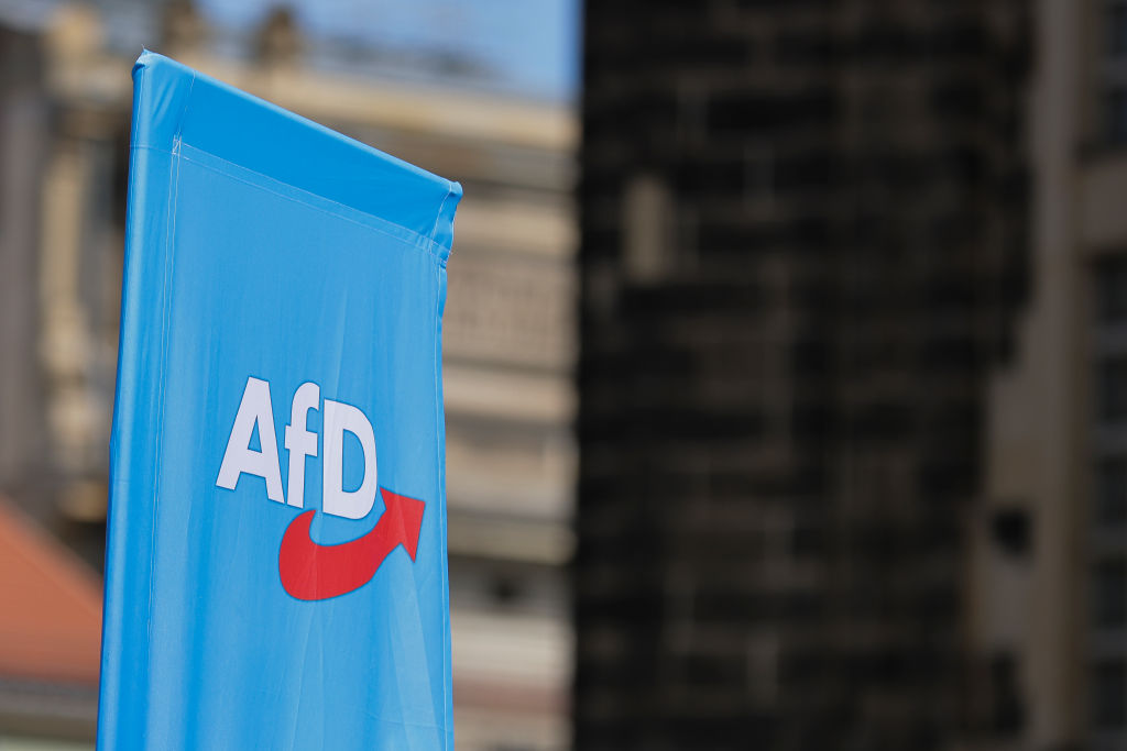 AfD will be alone and lonely in the European Parliament (Photo by Maja Hitij/Getty Images)