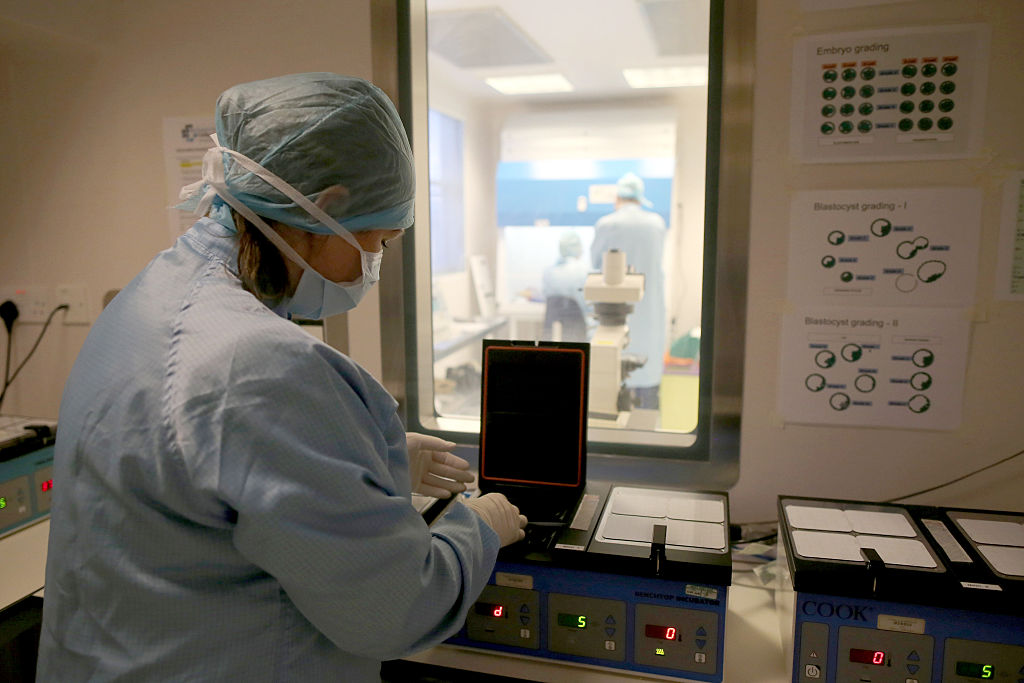 Newly approved EU legislation regulating the trade of embryos has been compared to the legal regularisation of "human trafficking". (Photo by Christopher Furlong/Getty Images)