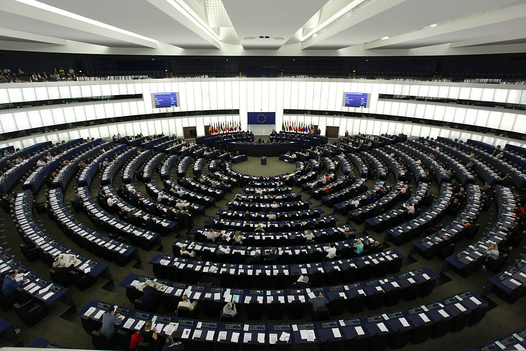 Following the 2024 European elections, the European Parliament gained fresh faces pushing towards a form of 'participaroty democracy". (Photo by Michele Tantussi/Getty Images)