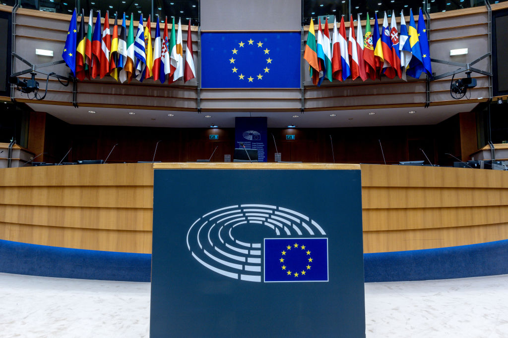 Several right-wing parties are set to meet in Brussels to discuss the formation of a new EU parliamentary group (Photo by Omar Havana/Getty Images).