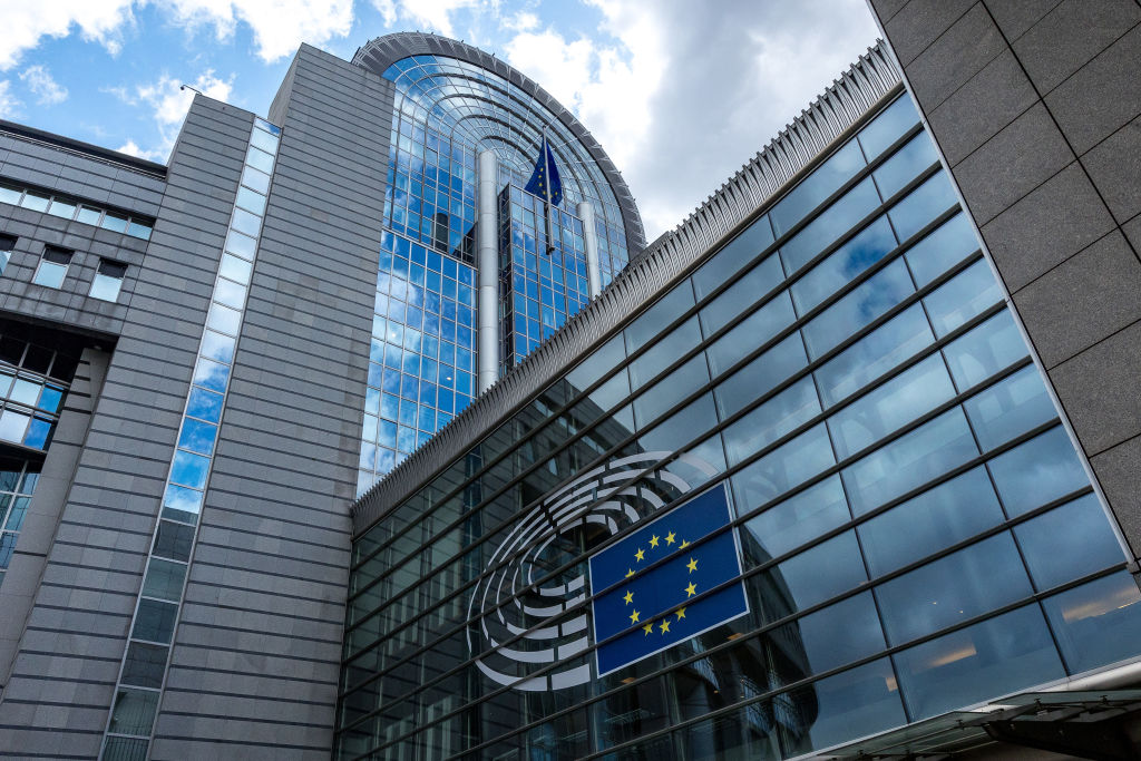 The new Europe of Sovereign Nations group is to launch with 28 MEPs within the European Parliament on July 10, Brussels Signal can confirm. (Photo by Omar Havana/Getty Images)