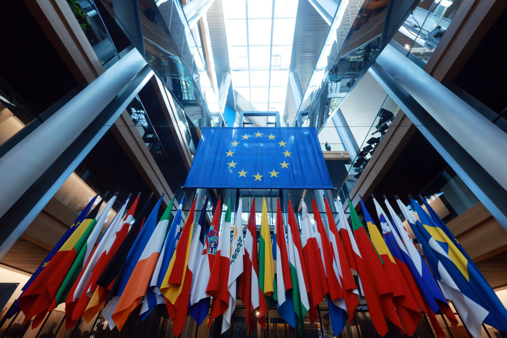 The Europe of Sovereign Nations (ESN) group in the EU parliament will work to protect "European identity" and fight to roll back the Green Deal, leaks from the group's constitution show. (Photo by Johannes Simon/Getty Images)