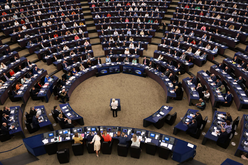 There is no evidence that any kind of "major disinformation incident" took place during the EU elections in June, the European Commission has admitted. (Photo by Johannes Simon/Getty Images)