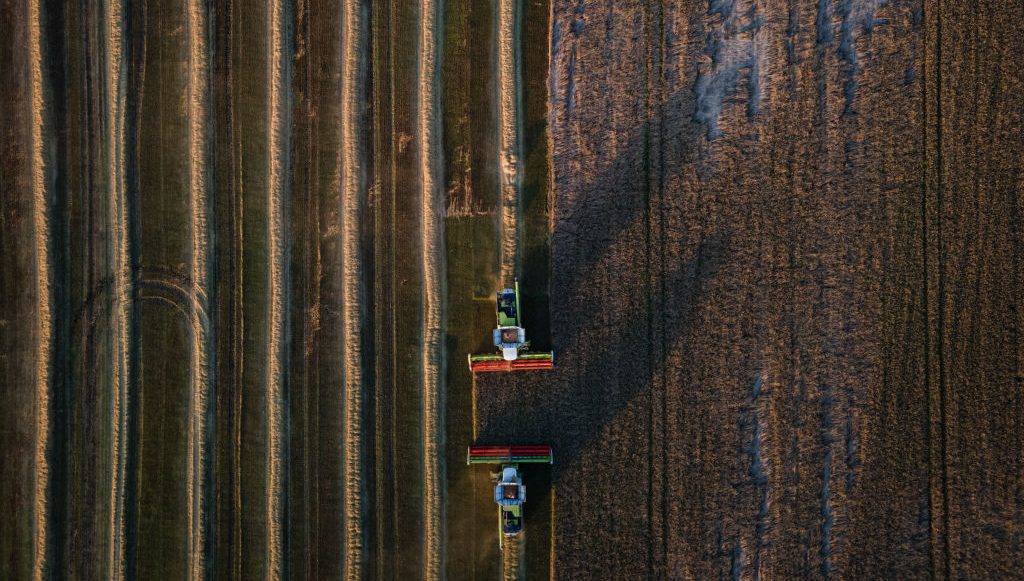 The French Ministry of Agriculture has announced that France is set to experience "one of the worst harvests in 40 years."(Photo by Ed Ram/Getty Images)