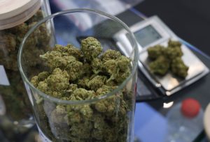 Under new cannabis regulations in Germany, the country has raised the cannabis threshold for drivers to the highest in the European Union.(Photo by Sean Gallup/Getty Images)