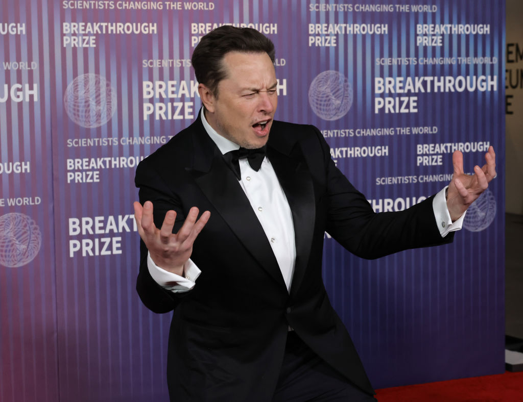 The USA has the First Amendment, the EU has Elon Musk. Is he is up for the fight against the DSA? (Photo by Kevin Winter/Getty Images)