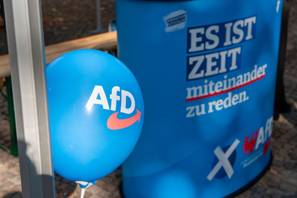 The populist-right Alternative for Germany (AfD) party could be declared "anti-constitutional" before the end of the year, a report in the German media has claimed. (Photo by Craig Stennett/Getty Images)