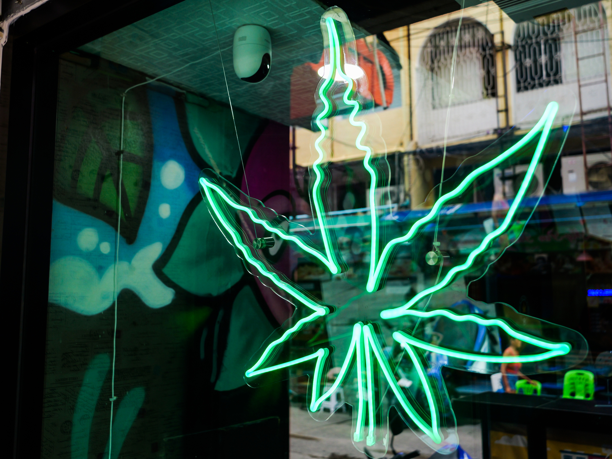 Italy's flourishing "cannabis light" industry risks being uprooted this year by Giorgia Meloni's coalition. Getty