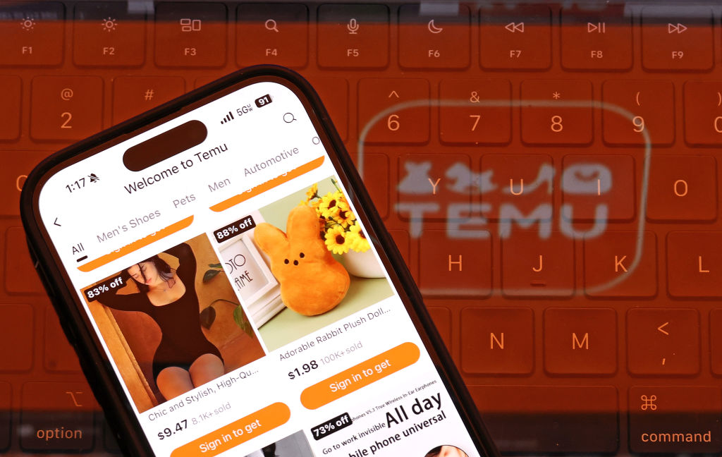 Brussels is once again piling pressure onto China's Temu shopping platform, with an alliance of state-level consumer agencies accusing it of having broken EU law in multiple areas. (Photo Illustration by Justin Sullivan/Getty Images)