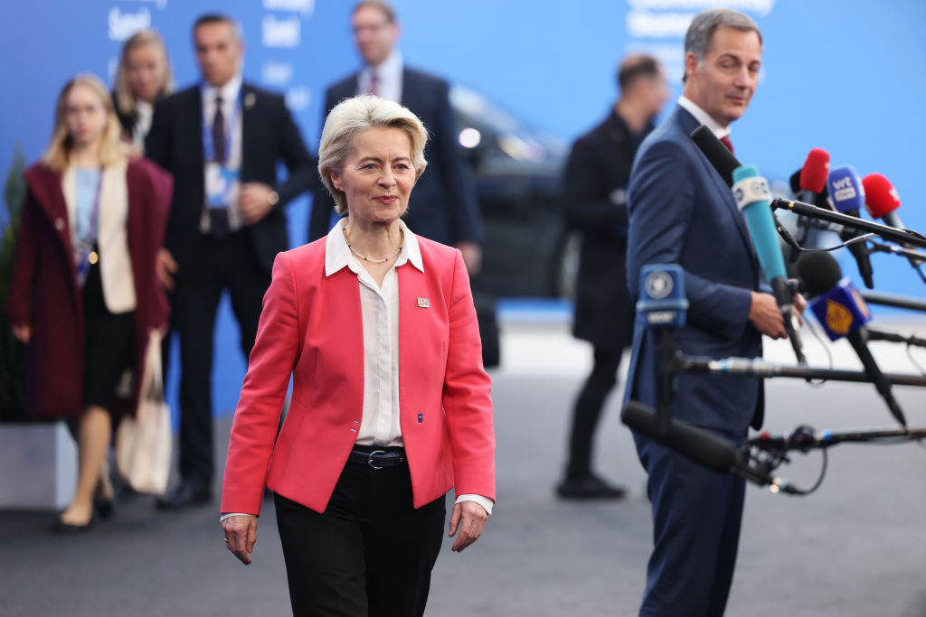 The European Union is doubling down on its green agenda in the face of Donald Trump's presidential election win, with the bloc's council insisting that "decarbonisation" is the key to making it competitive again. (Photo by Janos Kummer/Getty Images)