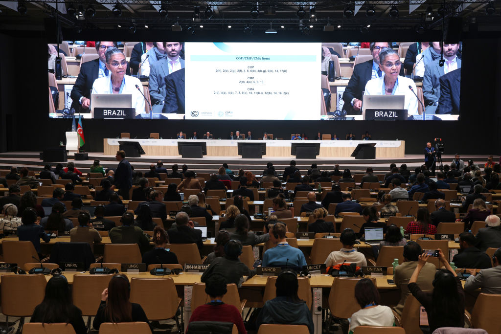 Cop 29 goes into overtime to agree another deal for more money for developing nations (Photo by Sean Gallup/Getty Images)