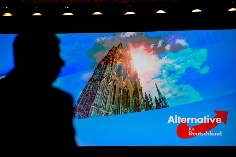 Alternative for Germany (AfD) plans to replace its youth organisation "Young Alternative" (JA).(Sascha Schuermann/Getty Images)
