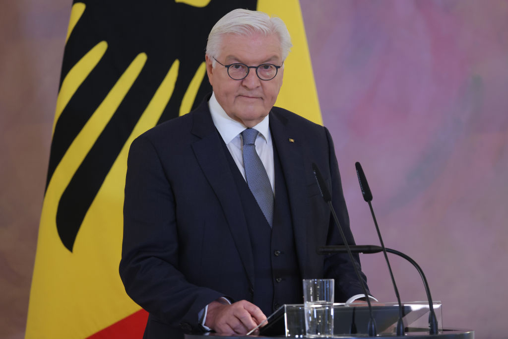 Germany's president has branded Elon Musk's X social media platform as being a potential "threat to democracy". (Photo by Michele Tantussi/Getty Images)