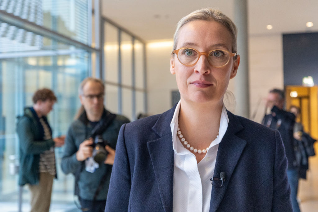 ARCHIVE IMAGE - Germany's parliament is currently probing whether an upcoming online conversation between Elon Musk and the head of the Alternative for Germany (AfD) party could be considered an illegal campaign donation. (Photo by Maja Hitij/Getty Images)