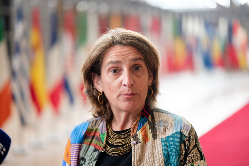 The EU's competition chief says US President Donald Trump has upended the "trustful relationship" between the United States and Europe, and that Brussels should focus on providing the predictability and stability that is lacking in Washington. (Thierry Monasse/Getty Images)