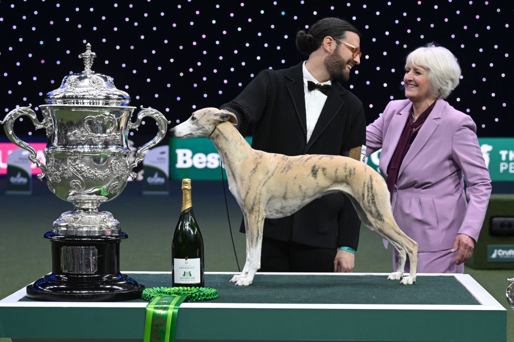Miuccia the whippet, poses with owner Giovanni Liguori from Italy and judge Patsy Hollings after winning Best In Show at Crufts. (Anthony Devlin/Getty Images)