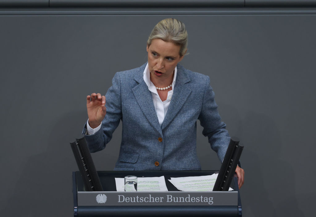 Alice Weidel, co-leader of the Alternative for Germany (AfD) party.(Sean Gallup/Getty Images)