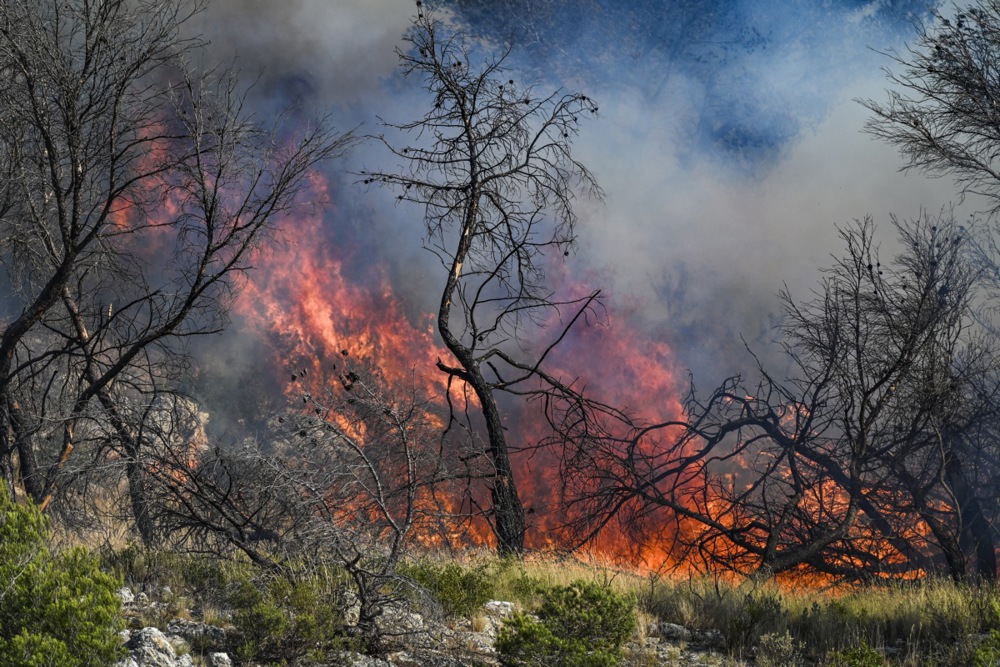 A "fast-moving" wildfire has been raging in Marseille since July 8, triggering mass evacuations, lockdown orders, and widespread travel disruptions.