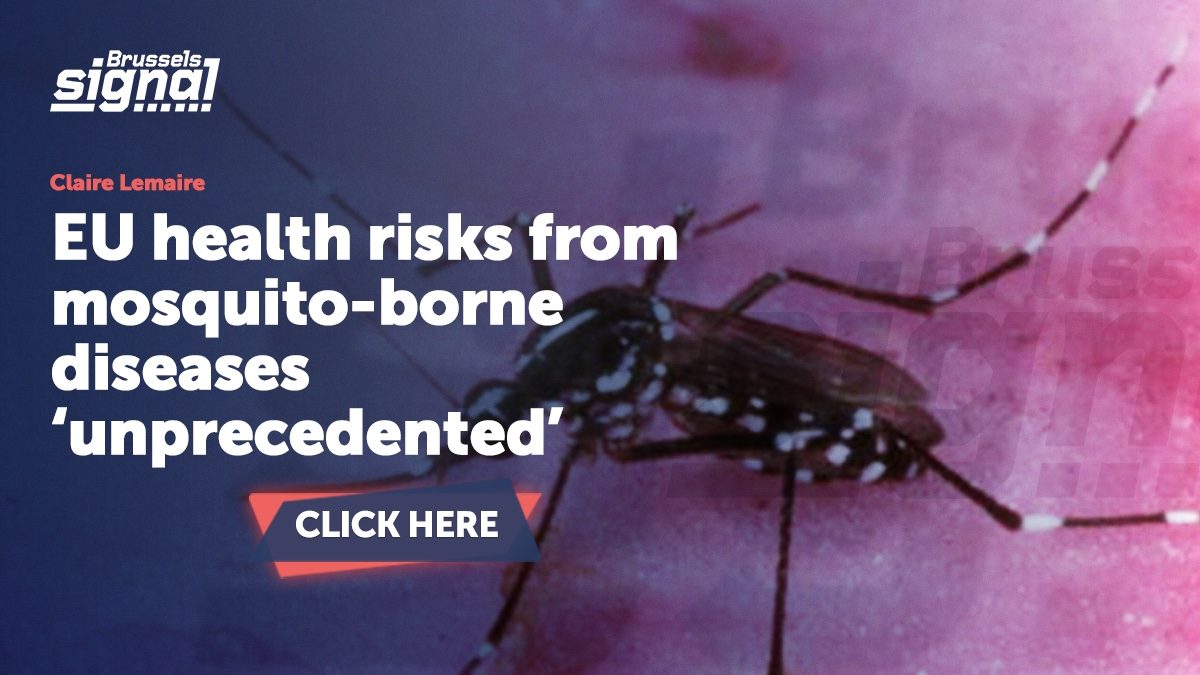 EU health risks from mosquito-borne diseases ‘unprecedented’