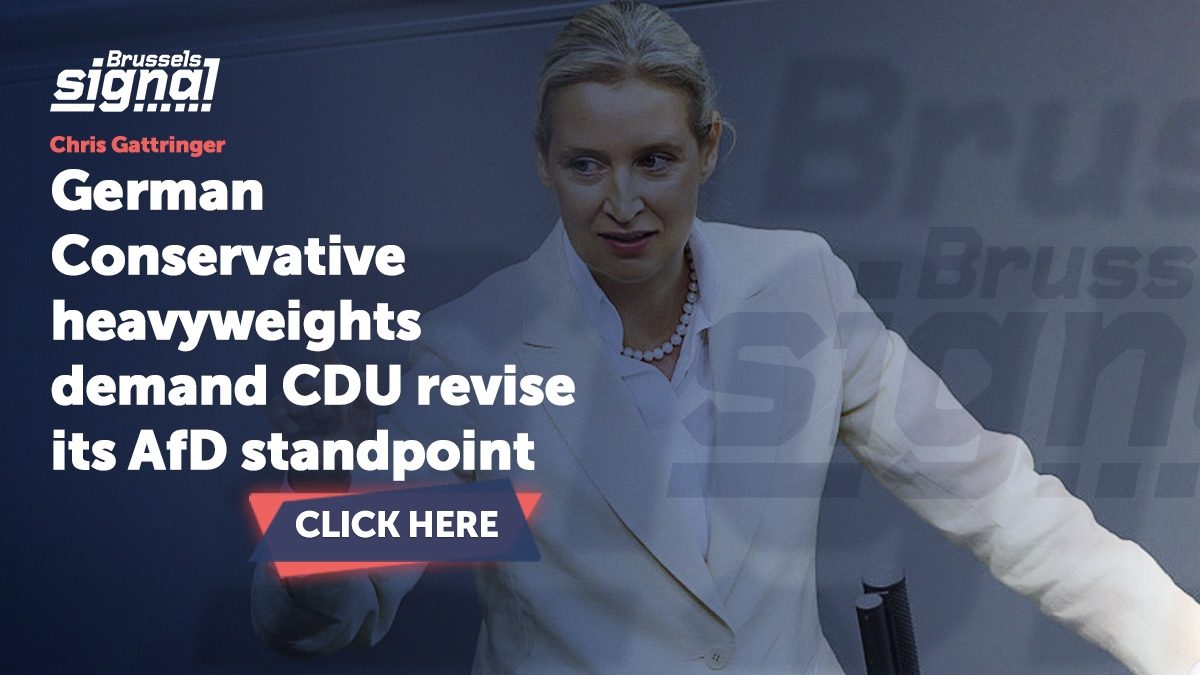 German Conservative heavyweights demand CDU revise its AfD standpoint