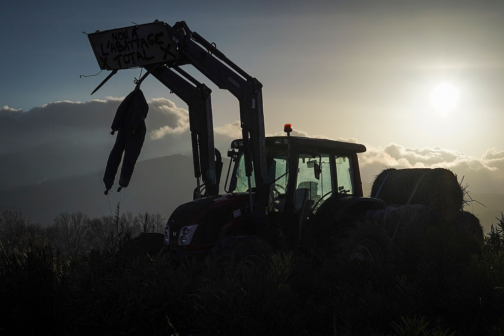 EU-Mercosur deal postponement gets mixed reaction after farmers’ protests