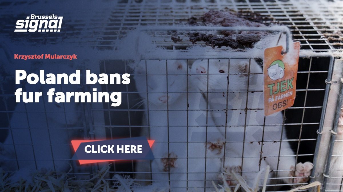Poland bans fur farming