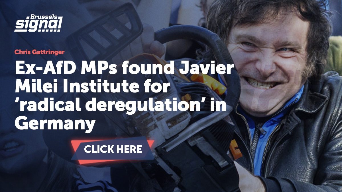 Ex-AfD MPs found Javier Milei Institute for ‘radical deregulation’ in Germany