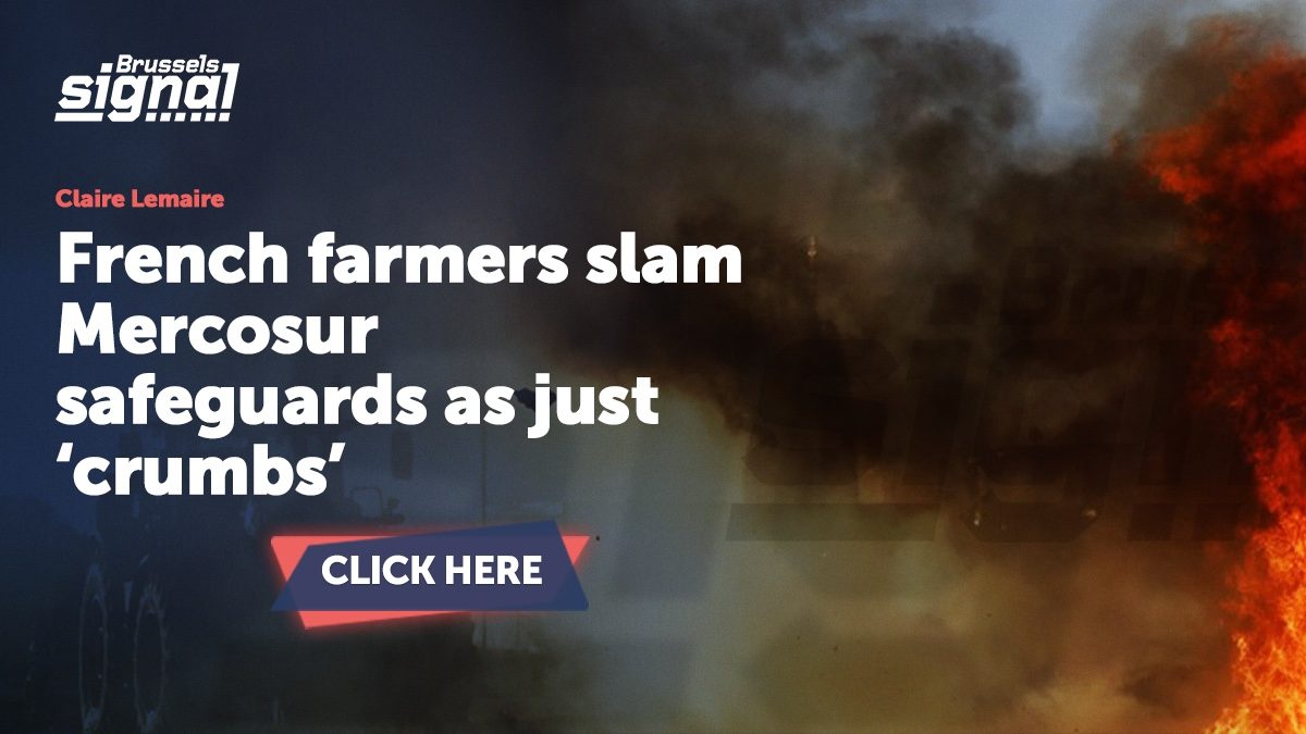 French farmers slam Mercosur safeguards as just ‘crumbs’
