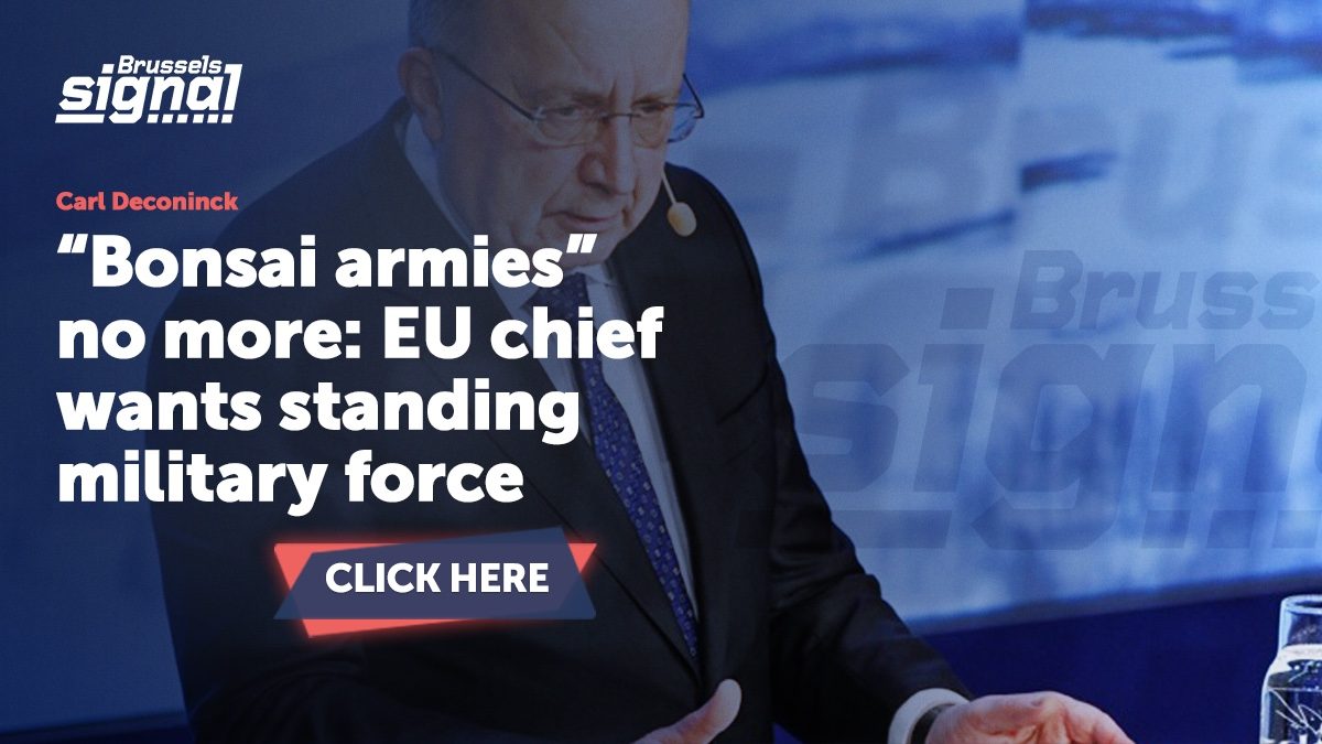 “Bonsai armies” no more: EU chief wants standing military force
