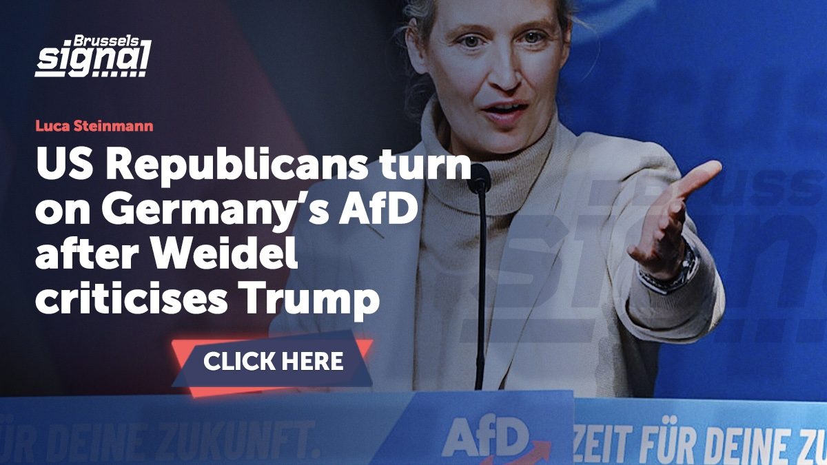 US Republicans turn on Germany’s AfD after Weidel criticises Trump