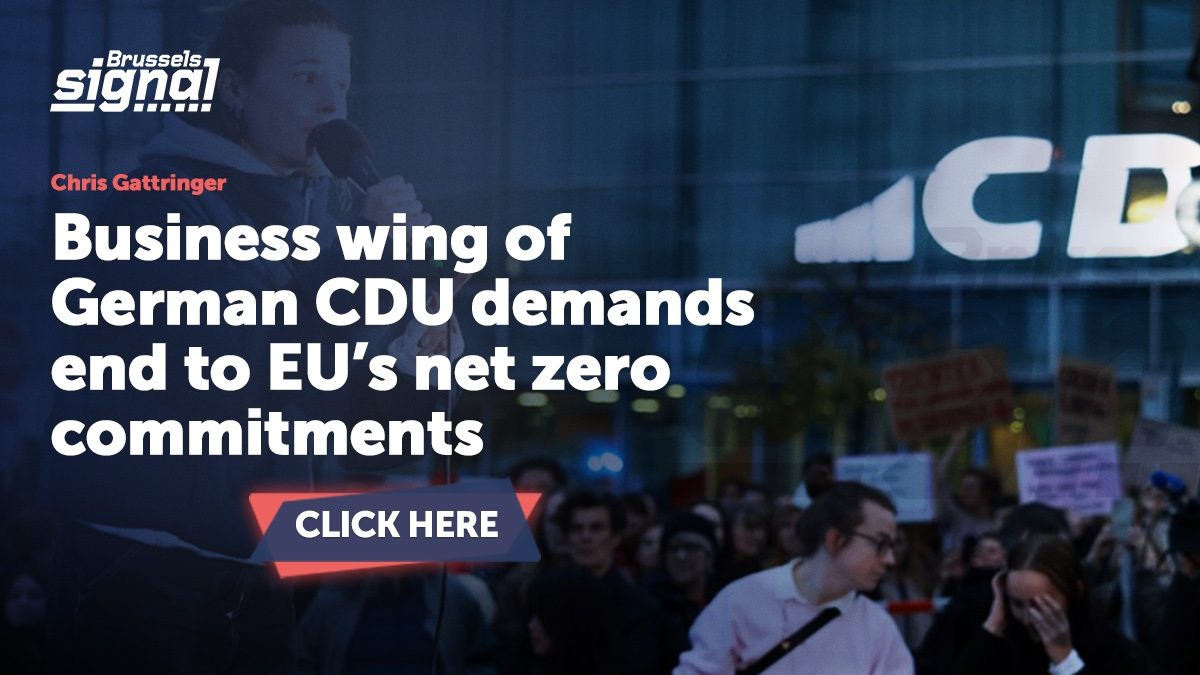 Business wing of German CDU demands end to EU’s net zero commitments
