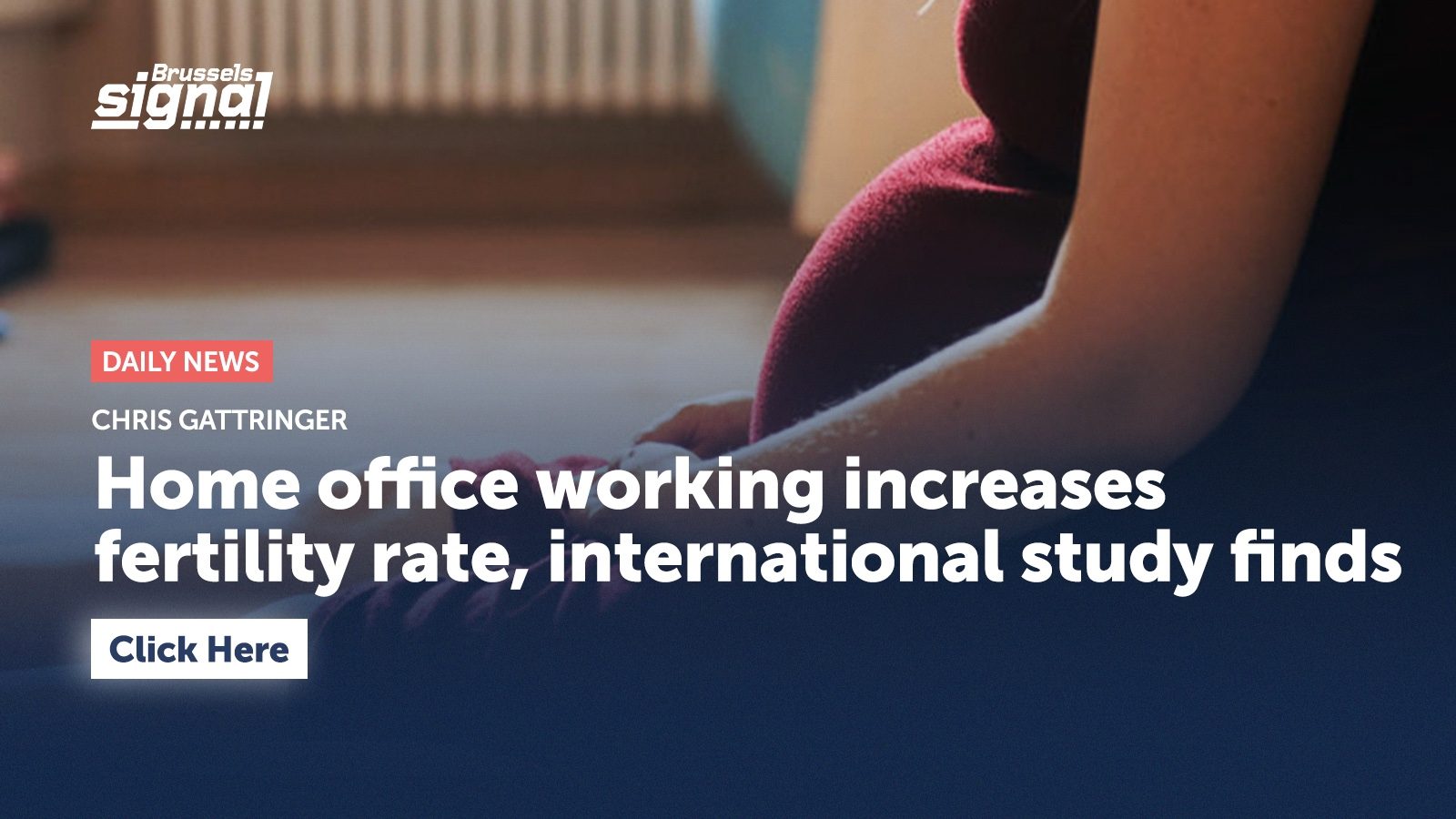 Home office working increases fertility rate, international study finds