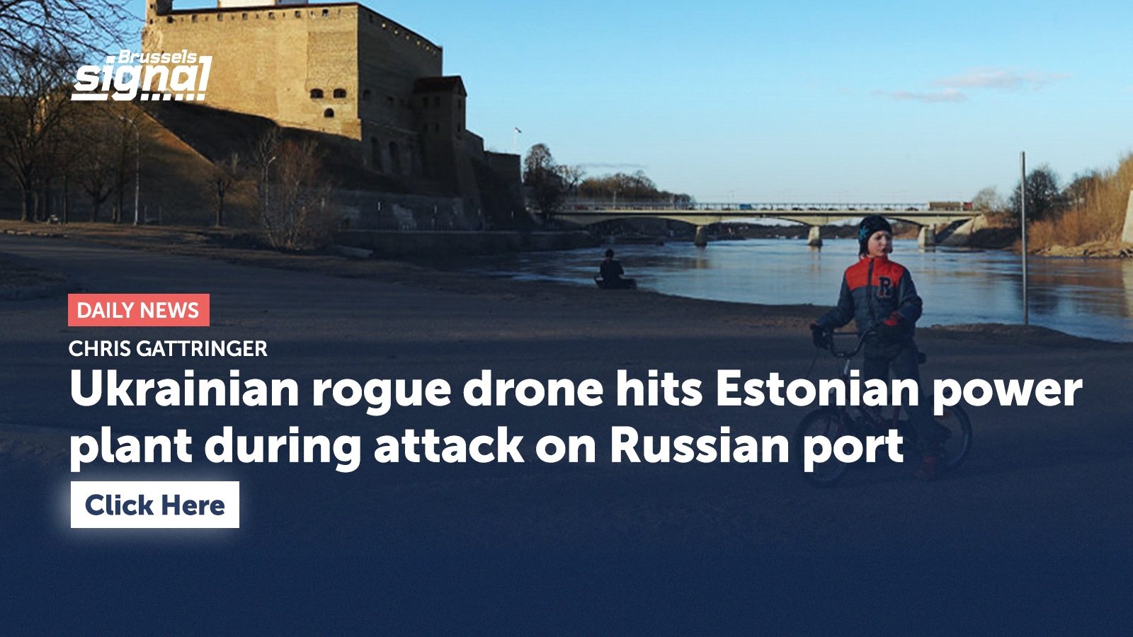 Ukrainian rogue drone hits Estonian power plant during attack on Russian port