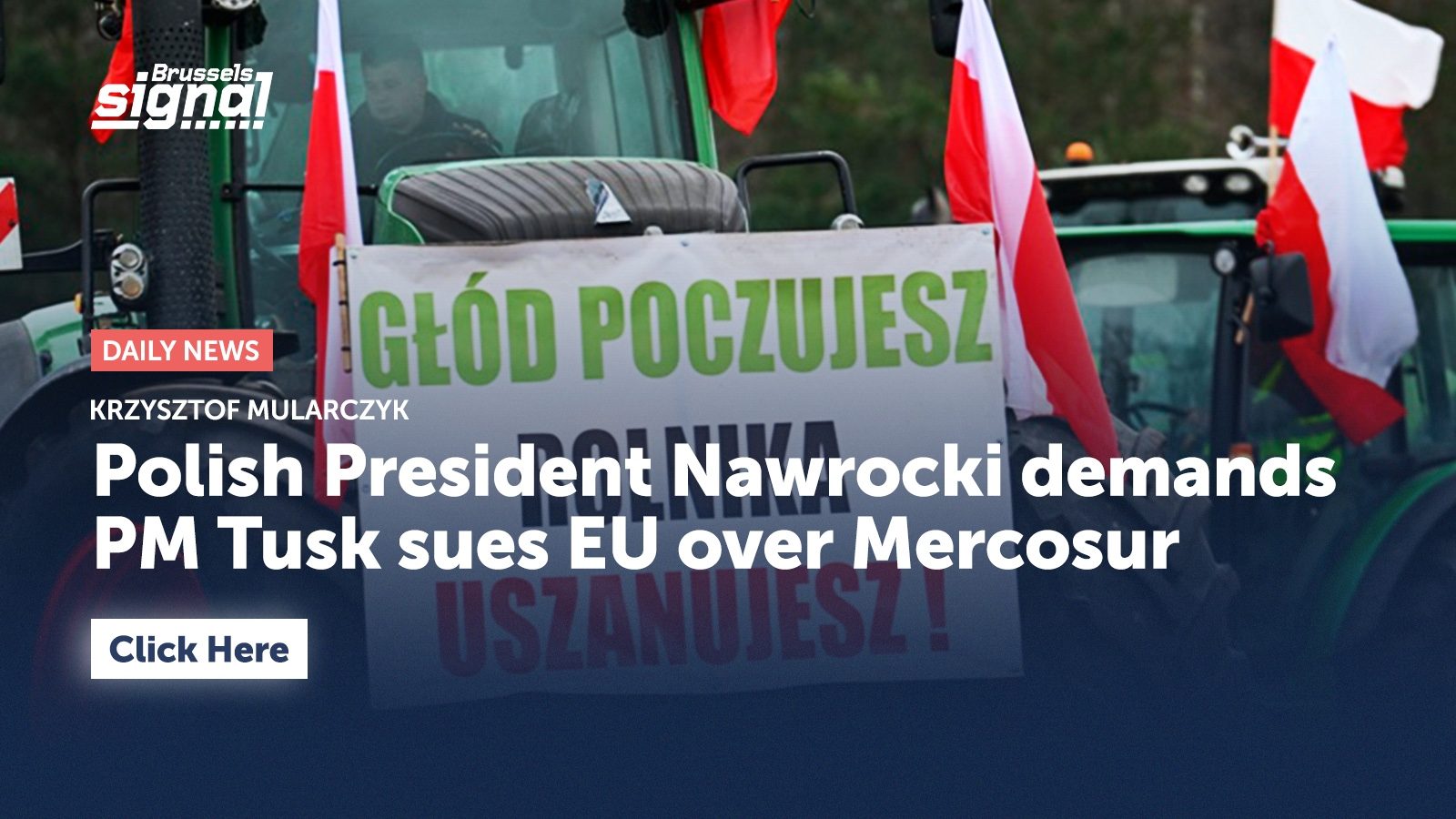 Polish President Nawrocki demands PM Tusk sues EU over Mercosur